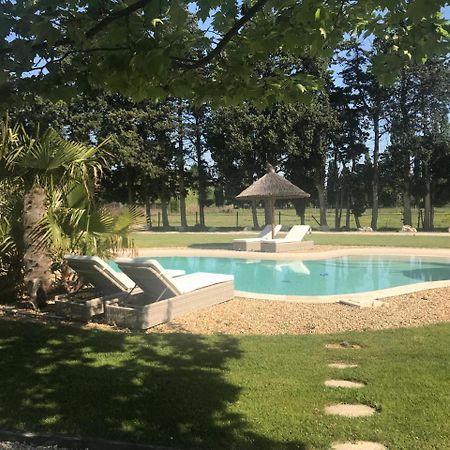 Mas Des Limites Bed & Breakfast Rognonas Dış mekan fotoğraf